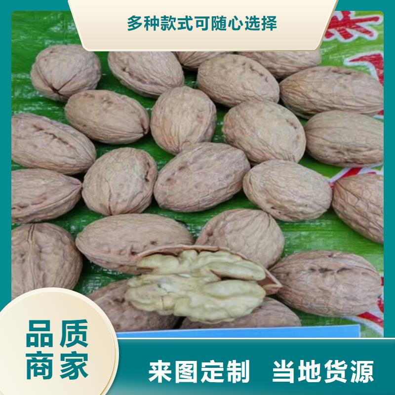 核桃苗黑珍珠草莓苗供您所需