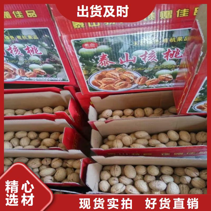 【 核桃苗梨树苗基地经验丰富品质可靠】广祥果树苗