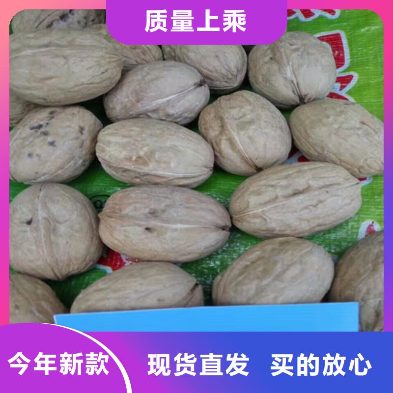 果树苗视频-四川省泸州市广祥果树苗可服务区域古蔺|合江|凉山|甘孜|自贡|南充|攀枝花|遂宁|阿坝等