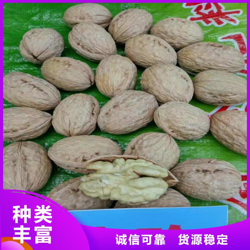 核桃苗桃树苗基地专业生产N年