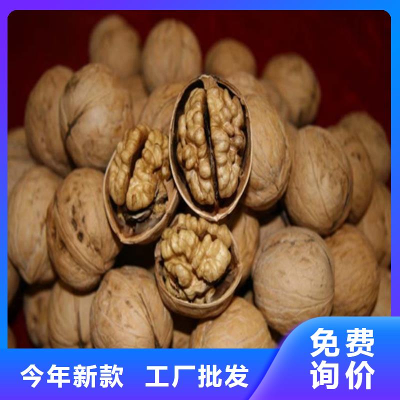 【 核桃苗-无籽葡萄树苗源厂定制】来电咨询