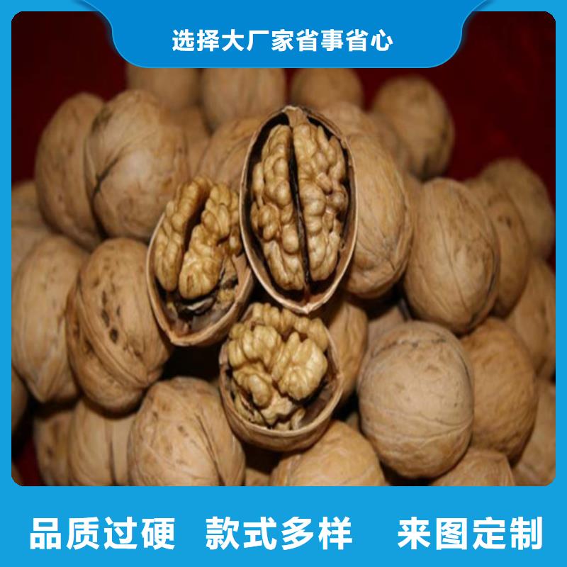 核桃苗桃树苗价格合理