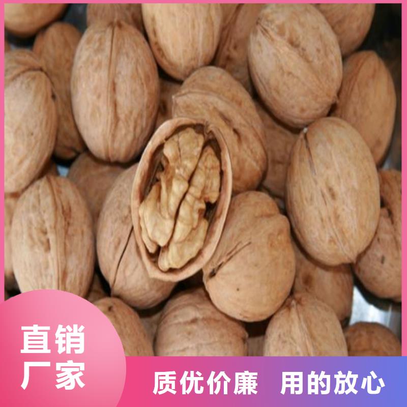 核桃苗桃树苗基地现货直发