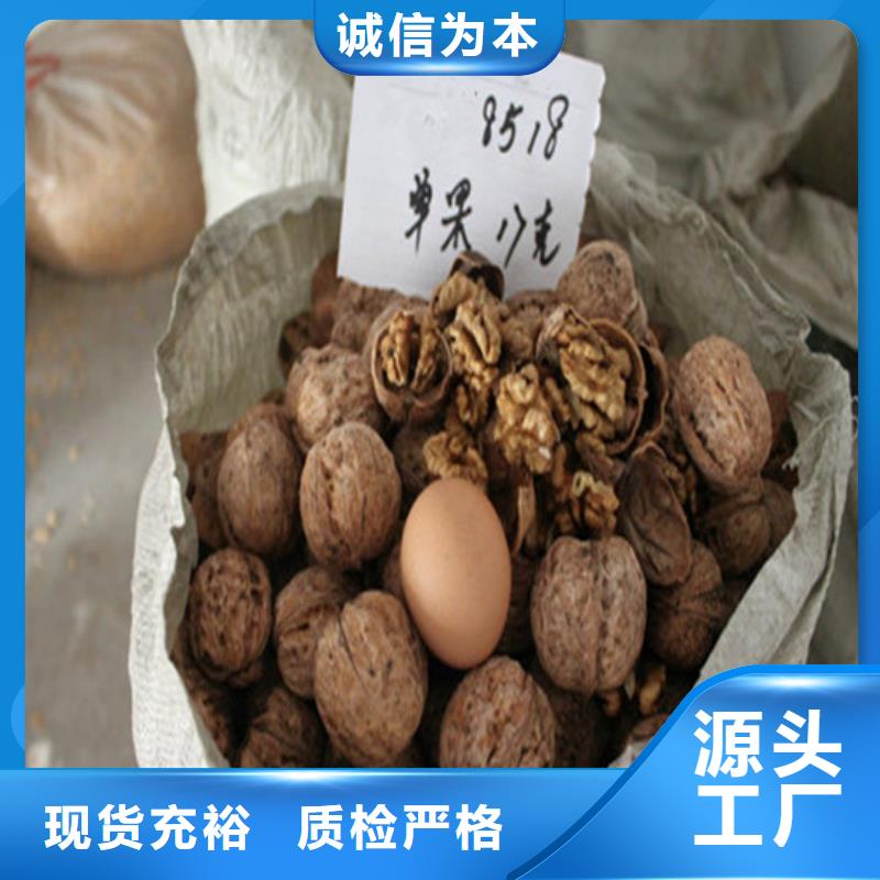 【 核桃苗梨树苗基地经验丰富品质可靠】广祥果树苗
