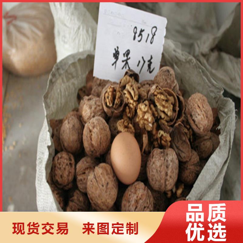 核桃苗梨树苗基地一手货源