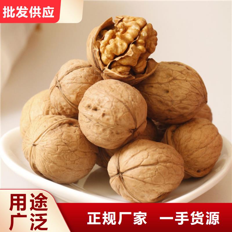 核桃苗樱桃苗打造行业品质