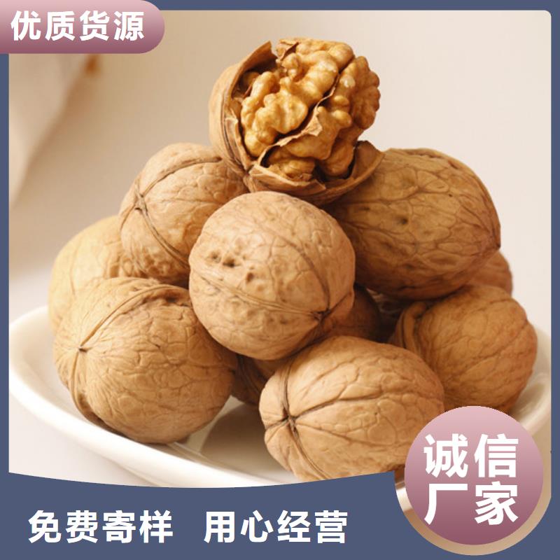 核桃苗桃树苗每个细节都严格把关