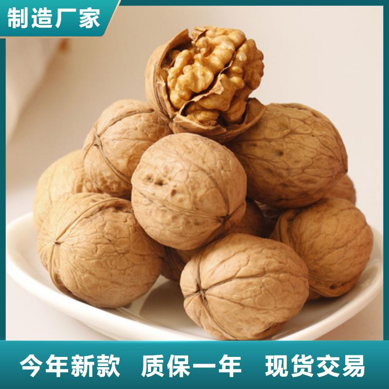 核桃苗桃树苗每个细节都严格把关