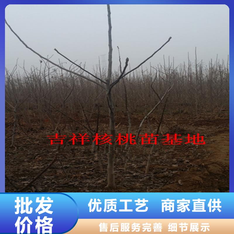 果树苗视频-果树苗-浙江省温州|嘉兴|宁波|丽水|衢州附近生产商