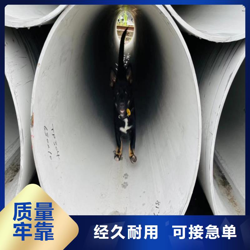 309不锈钢管价格实惠