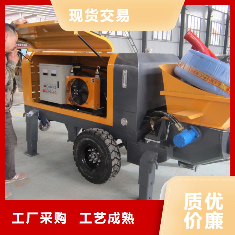省心：定安县小型构造柱混凝土泵厂家