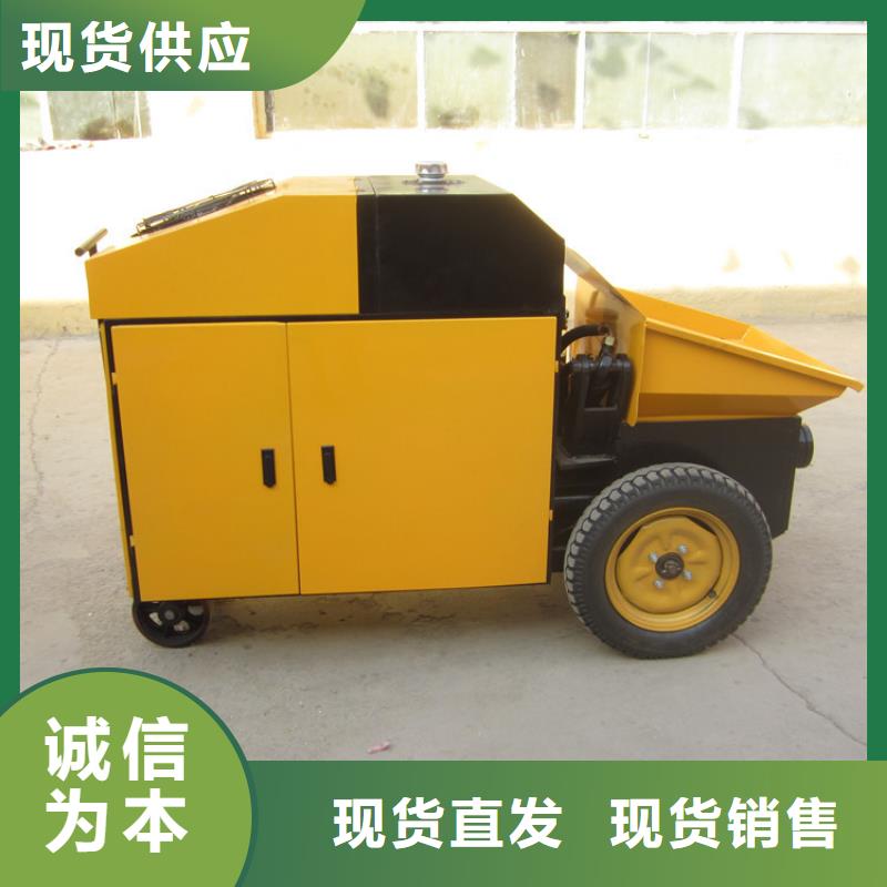 二次构造柱泵二次结构浇筑机服务周到