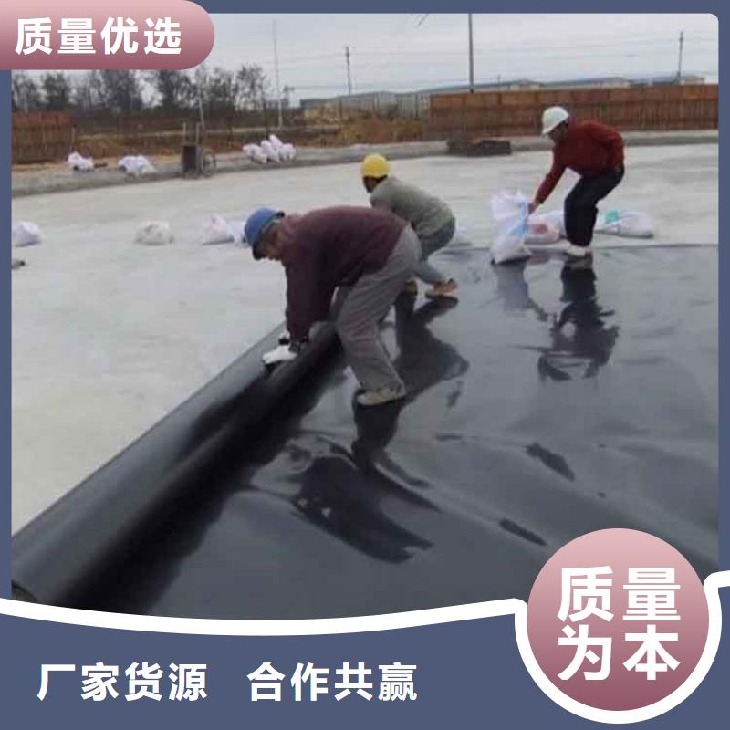 土工膜水泥毯品质之选