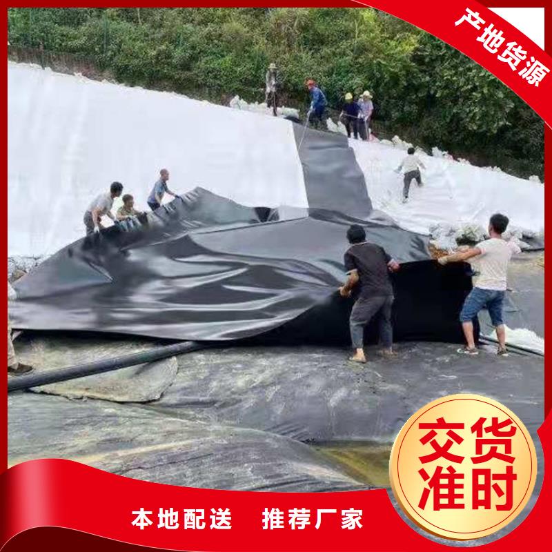 0.9mm防渗土工膜