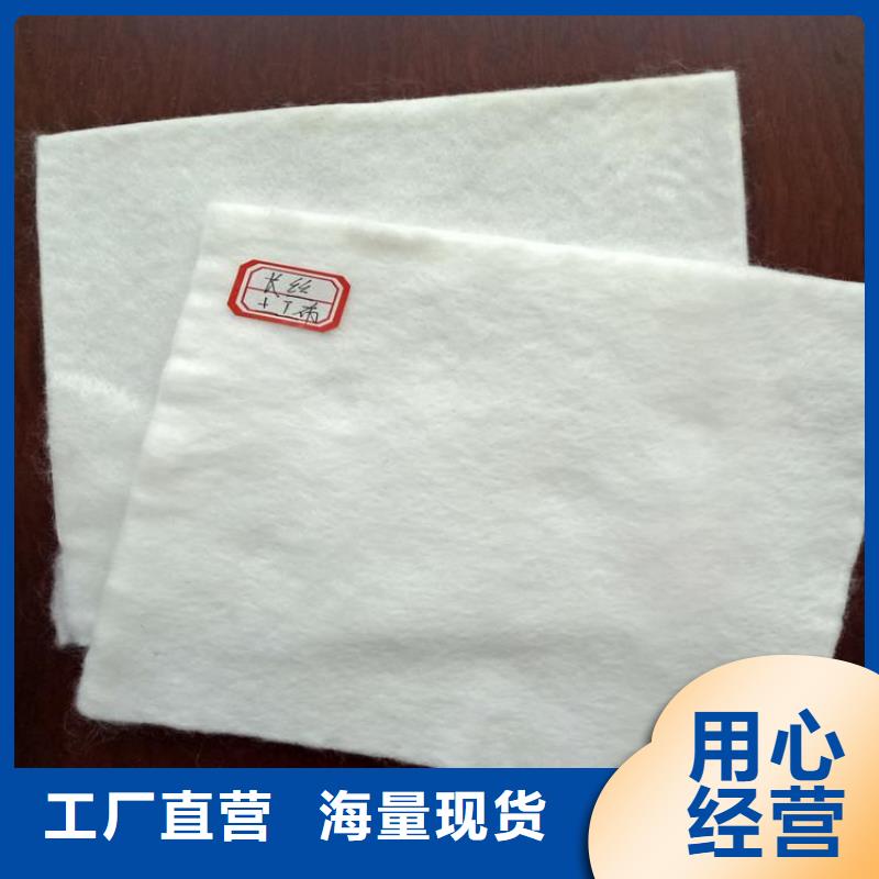 土工布膨润土防水毯细节展示