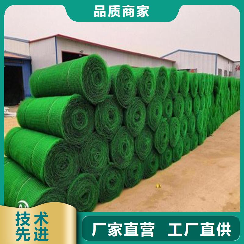 三维植被网土工膜诚信商家服务热情