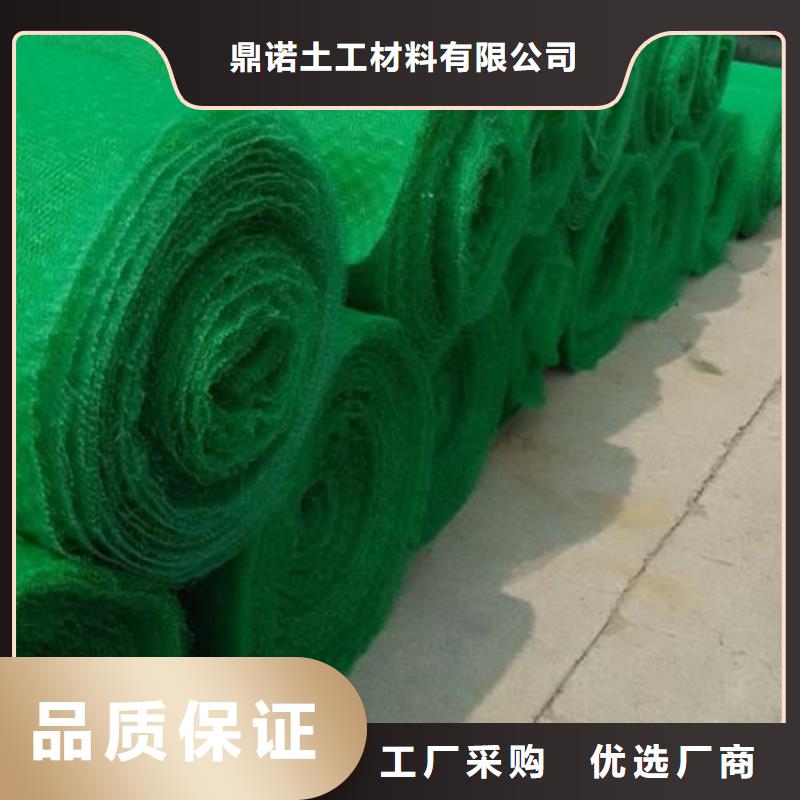 三维植被网,【防渗膜】厂家经验丰富-可发货到清丰|台前|周口|平顶山|开封|郑州