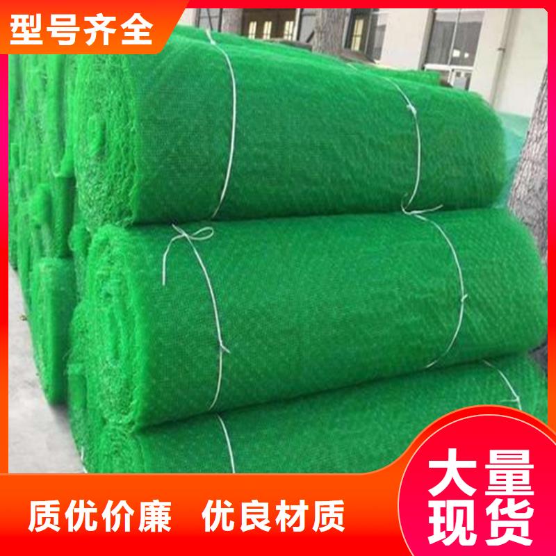 三维植被网_防草布诚信为本