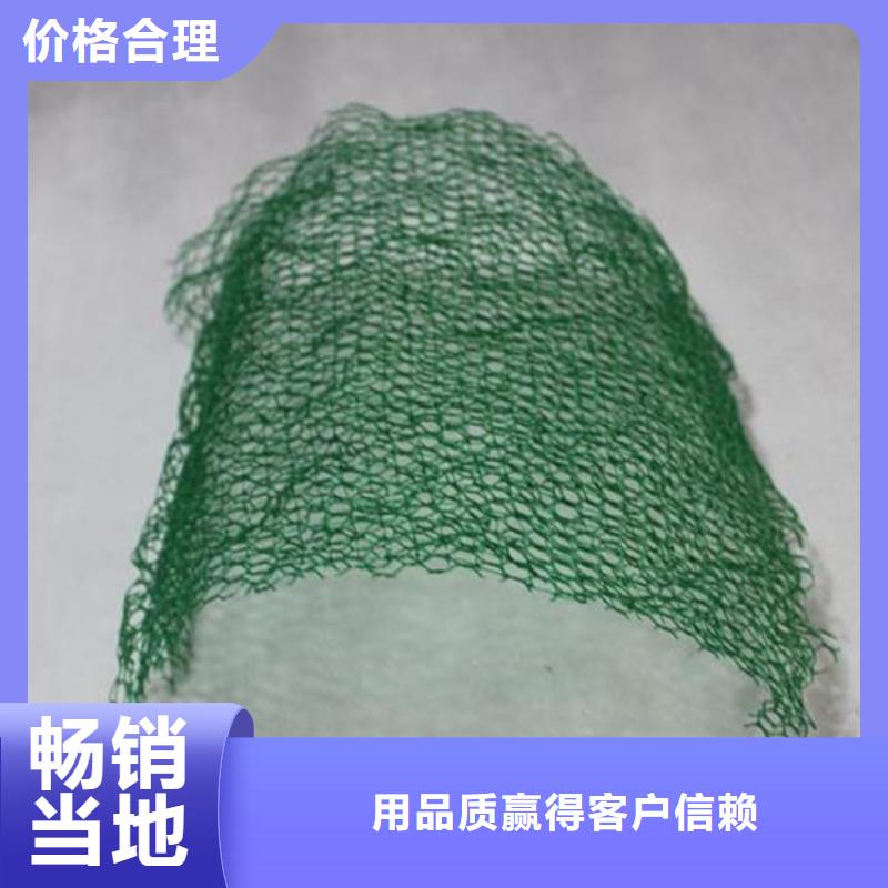 三维护坡植草网垫边坡塑料