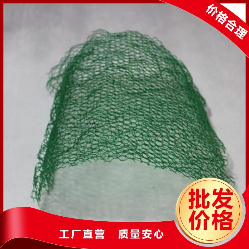 三维植被网,【防渗膜】厂家经验丰富-可发货到清丰|台前|周口|平顶山|开封|郑州