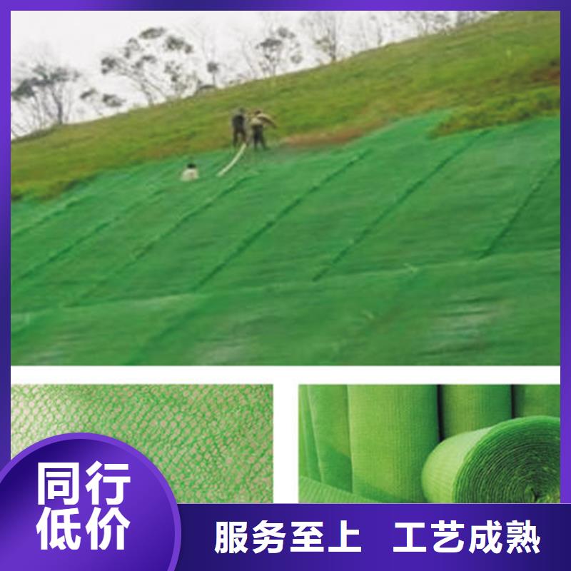 三维植被网_防草布诚信为本