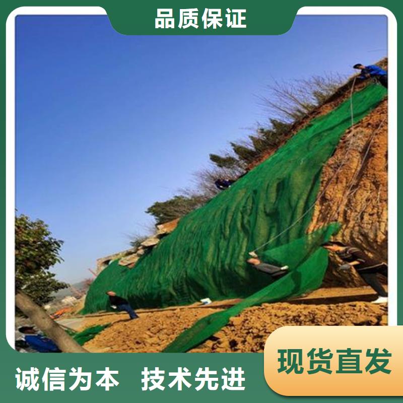 三维植被网,【防渗膜】厂家经验丰富-可发货到清丰|台前|周口|平顶山|开封|郑州