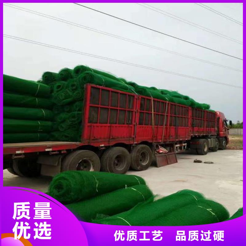 三维护坡植草网垫边坡塑料