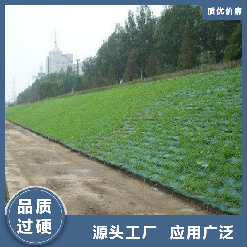 软式透水管视频-软式透水管-河北省保定市唐县|阜平|邯郸|张家口|廊坊|石家庄(该地)公司