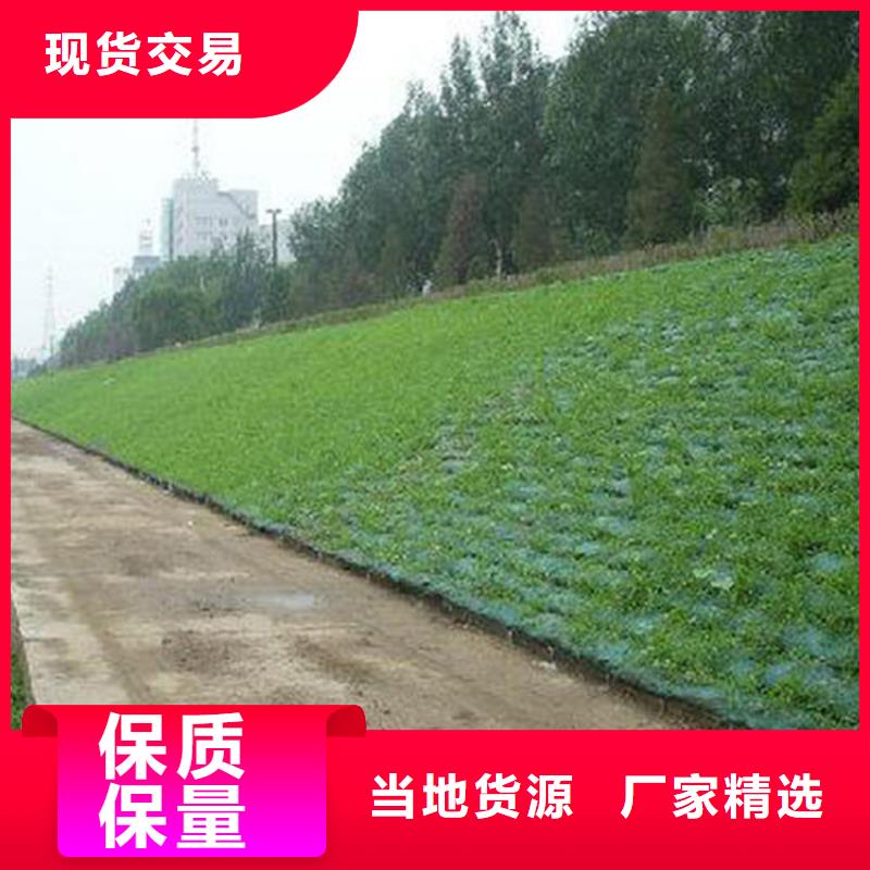 三维护坡植草网垫边坡塑料