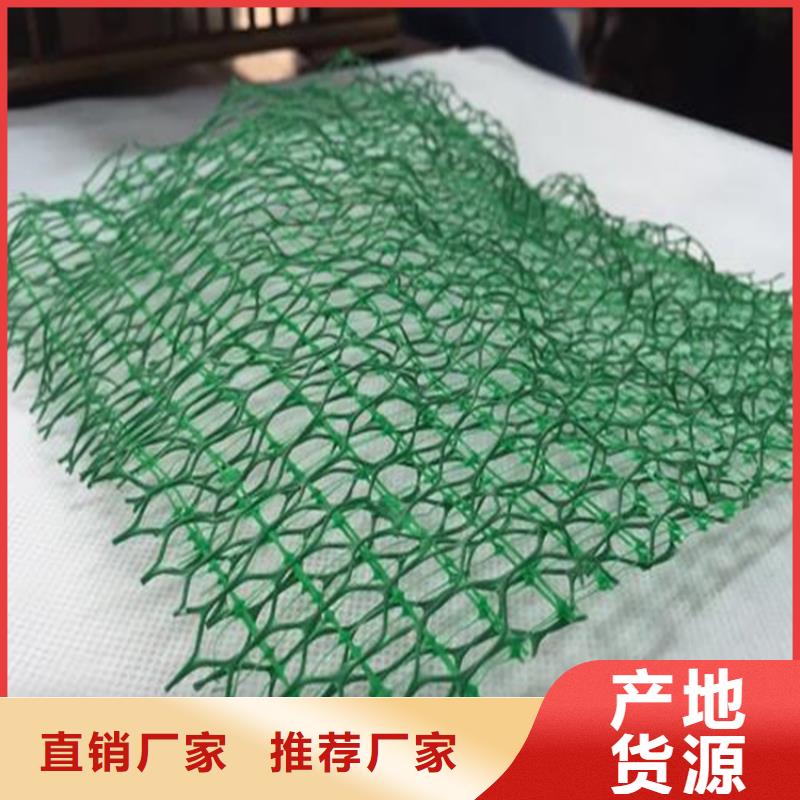 三维植被网土工膜定金锁价