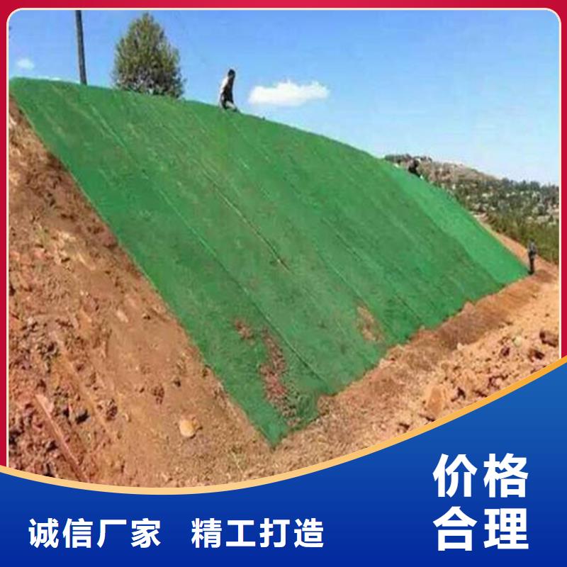 三维植被网加筋草皮