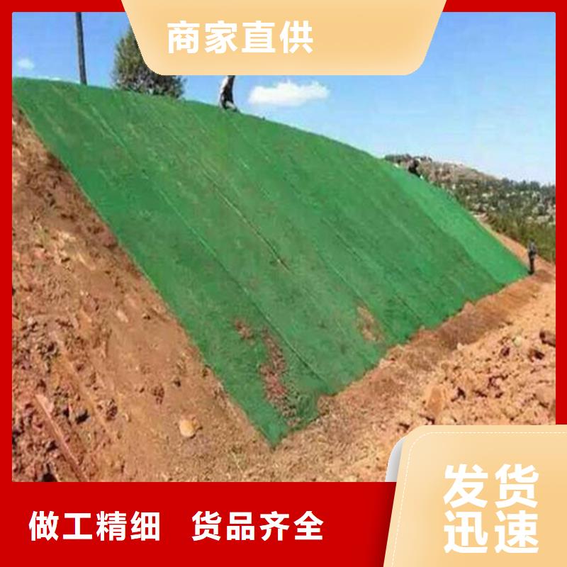 三维植被网【抗裂贴】品质不将就