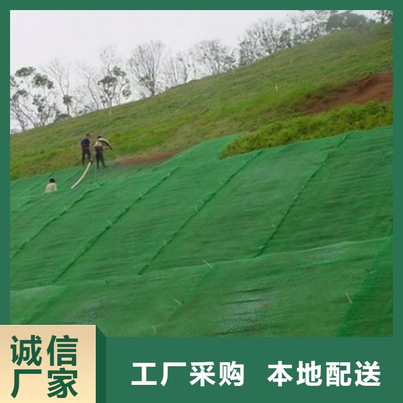 三维植被网,【防渗膜】厂家经验丰富-可发货到清丰|台前|周口|平顶山|开封|郑州