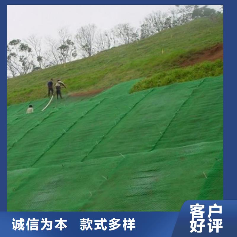 三维植被网加筋草皮