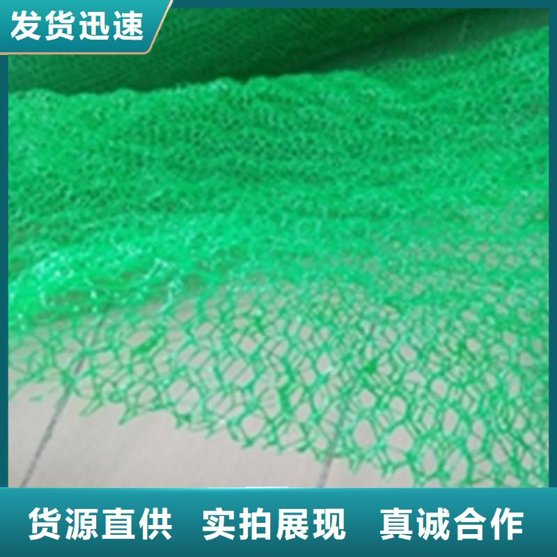 三维植被网-防水膜支持批发零售