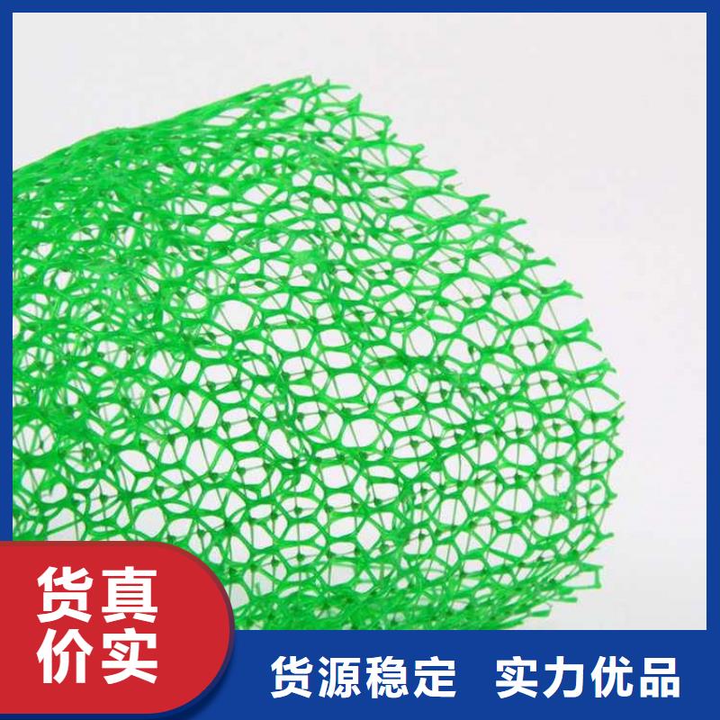 三维植被网,【防渗膜】厂家经验丰富-可发货到清丰|台前|周口|平顶山|开封|郑州