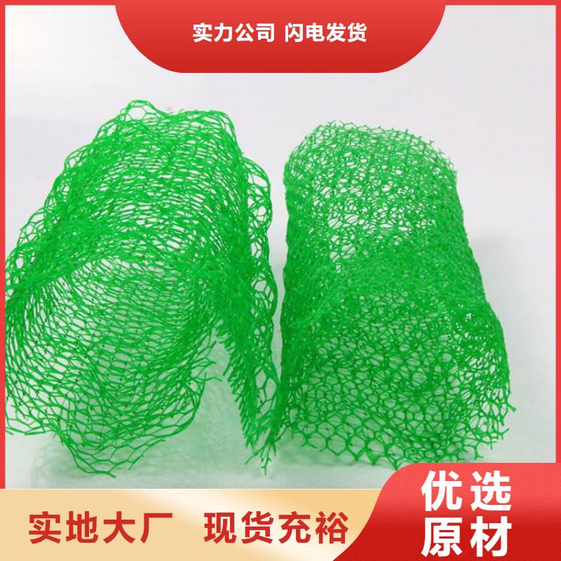 三维植被网,【防渗膜】厂家经验丰富-可发货到清丰|台前|周口|平顶山|开封|郑州