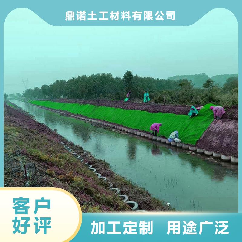 三维植被网【抗裂贴】品质不将就