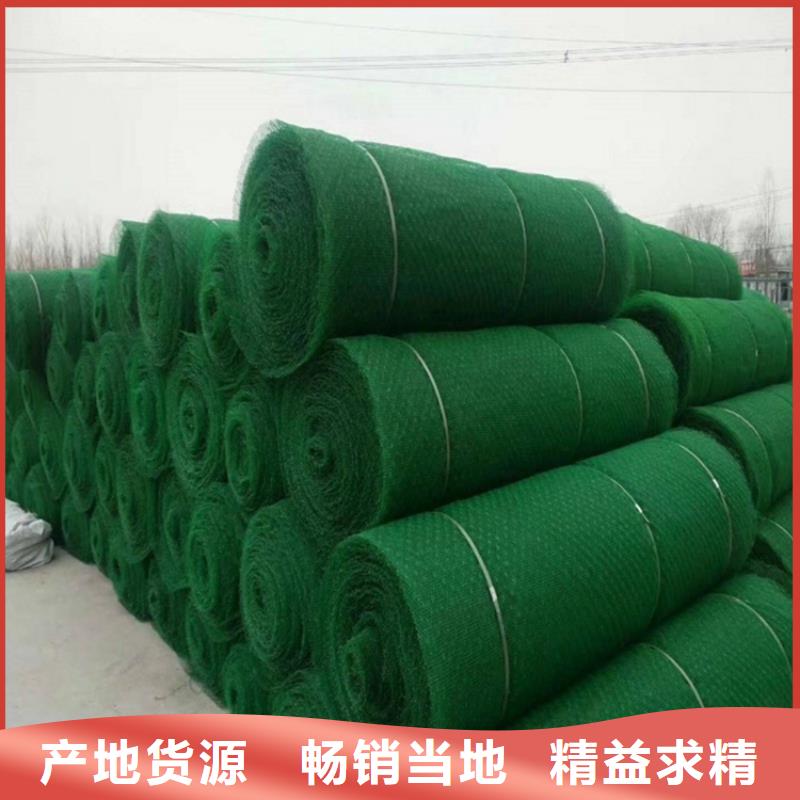 三维植被网_防草布诚信为本