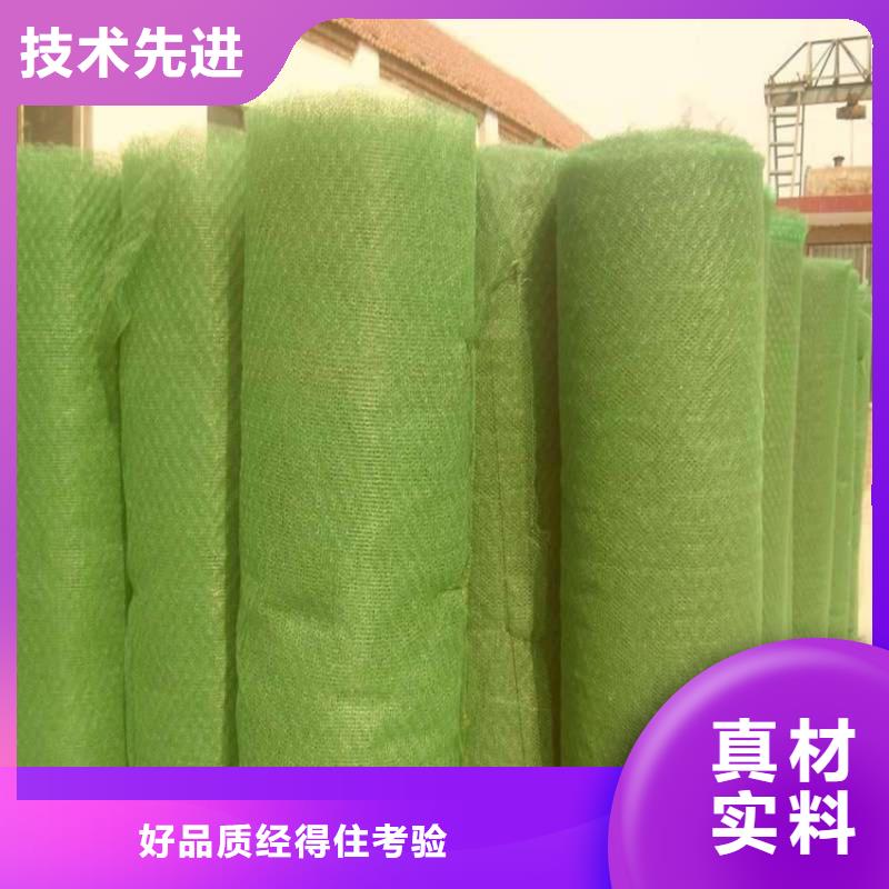 三维植被网塑料盲沟库存丰富
