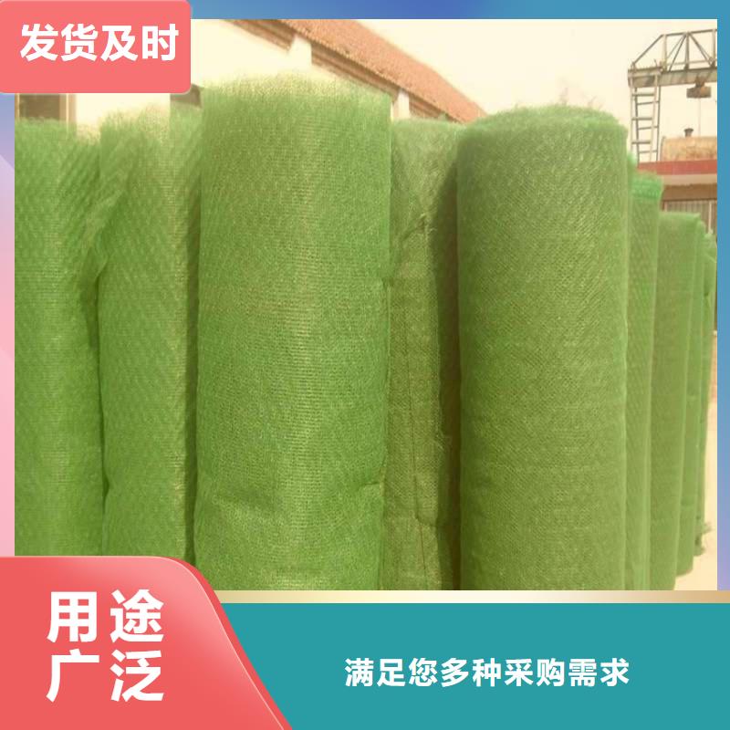 三维固土网垫批发价格查询