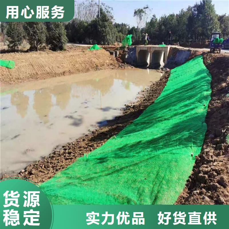 三维植被网,【防渗膜】厂家经验丰富-可发货到清丰|台前|周口|平顶山|开封|郑州