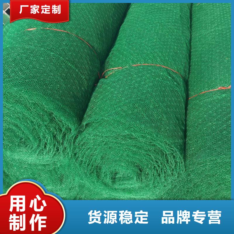 三维植被网土工膜定金锁价
