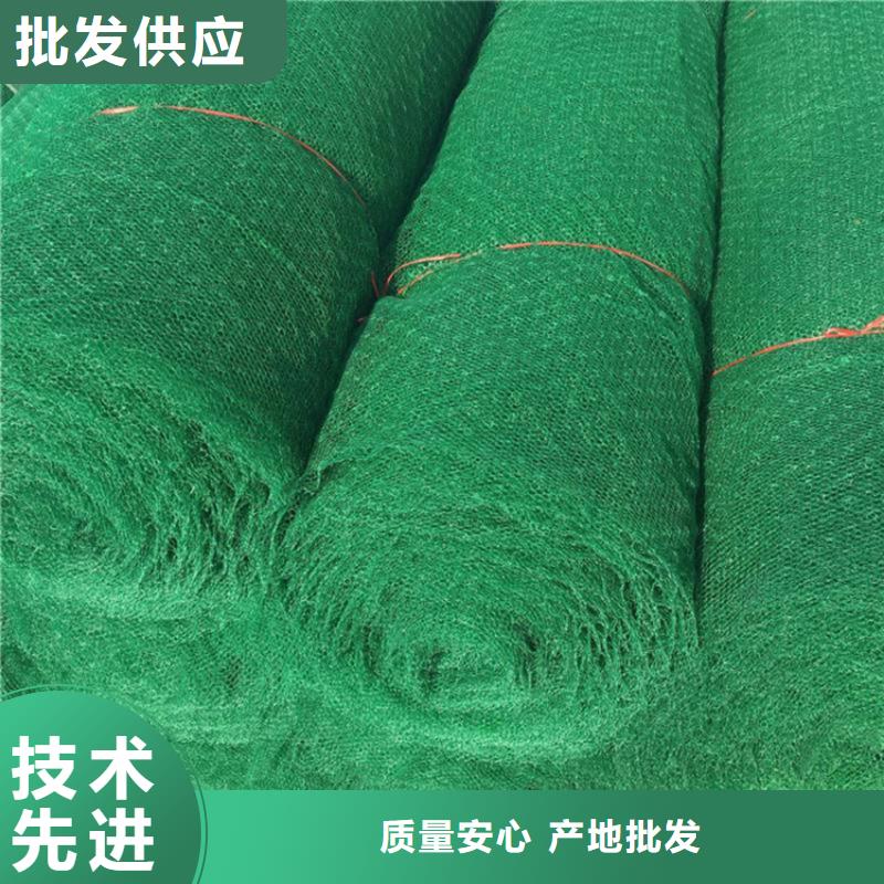 三维护坡植草网垫边坡塑料