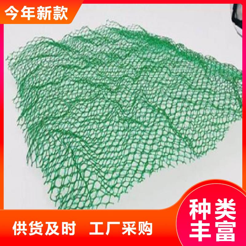 三维植被网,【防渗膜】厂家经验丰富-可发货到清丰|台前|周口|平顶山|开封|郑州