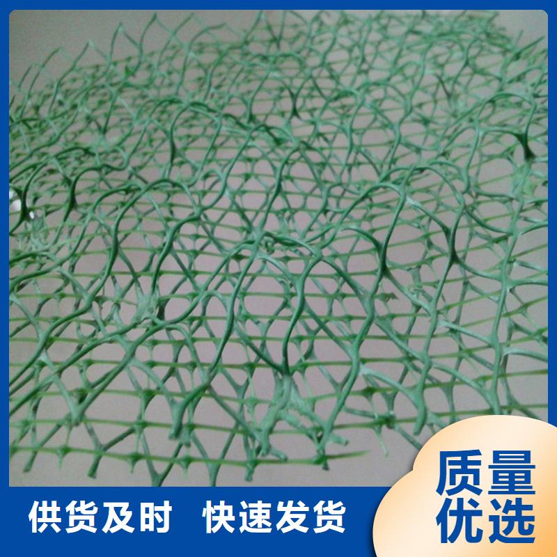 三维植被网加筋草皮