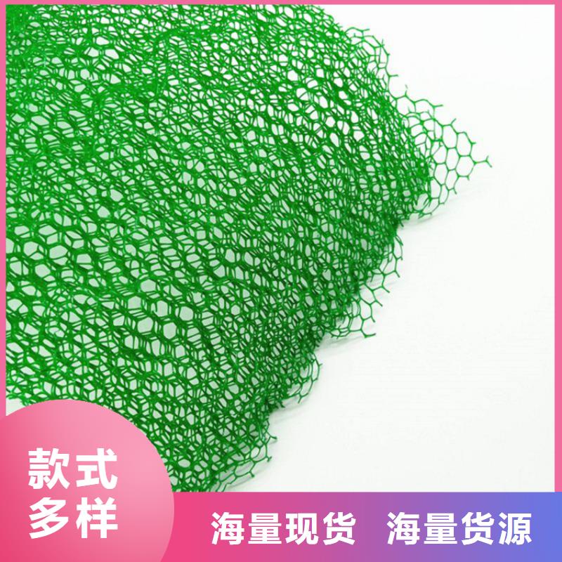 三维植被网【抗裂贴】品质不将就