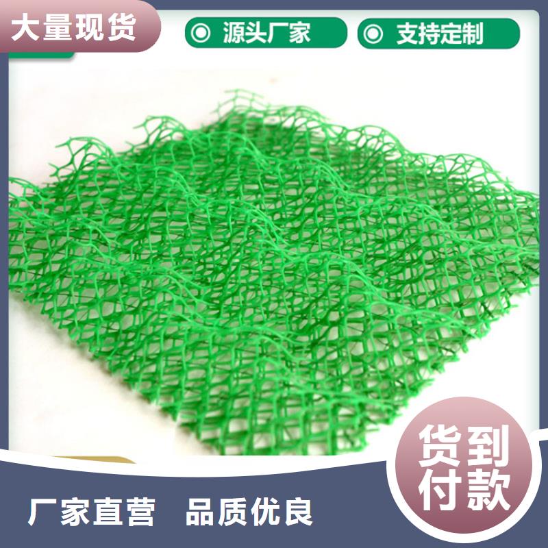 三维植被网,【防渗膜】厂家经验丰富-可发货到清丰|台前|周口|平顶山|开封|郑州