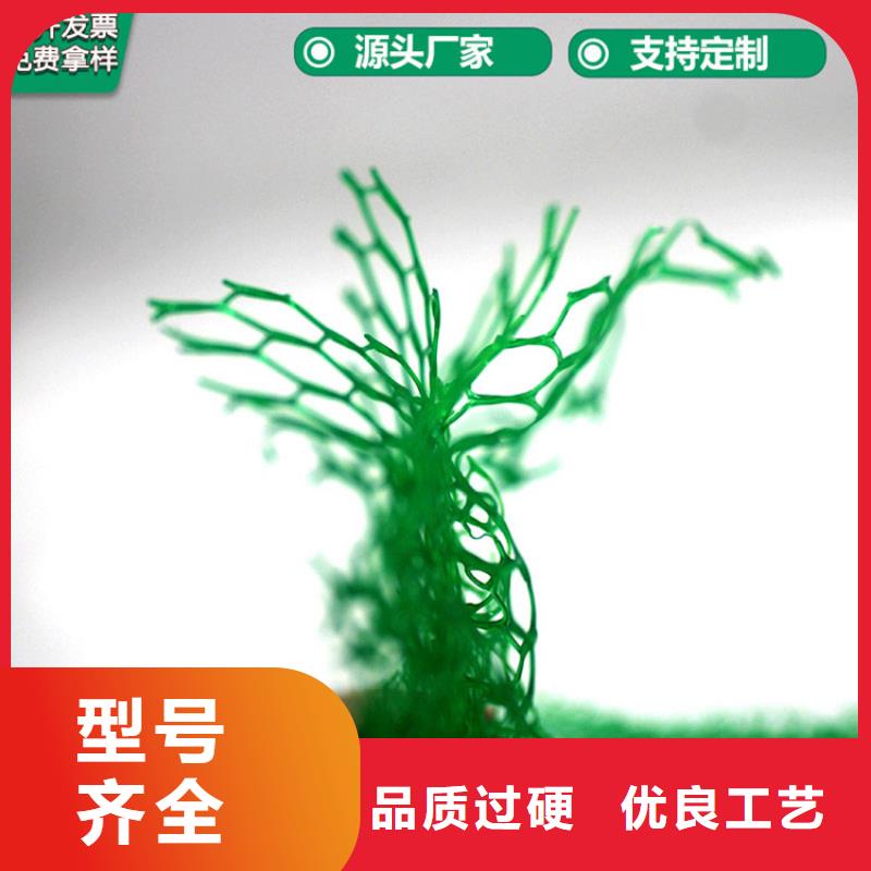 三维植被网土工膜诚信商家服务热情