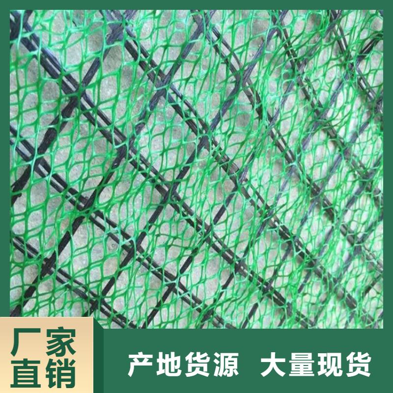三维植被网塑料盲沟库存丰富